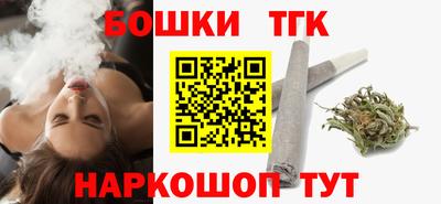 тгк Новозыбков